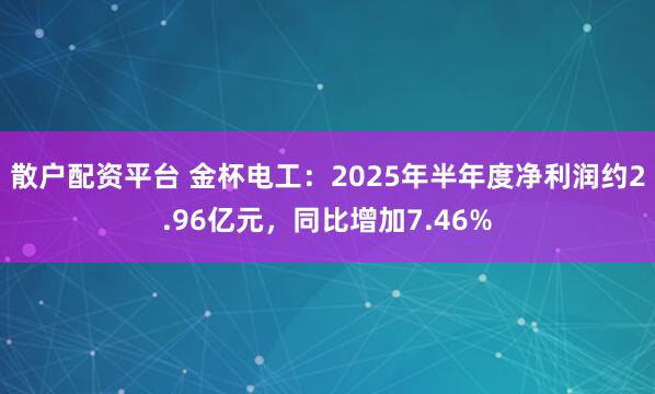 散户配资平台 金杯电工：2025年半年度净利润约2.96亿元，同比增加7.46%